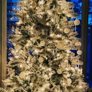 Meet your Posher, Didnora